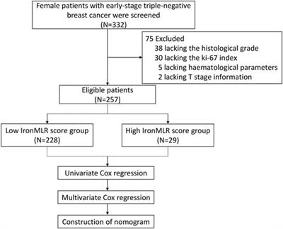 The Iron-Inflammation Axis in Early-Stage Triple-Negative Breast Cancer